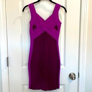 Sexy Old School EXPRESS Bodycon Dress